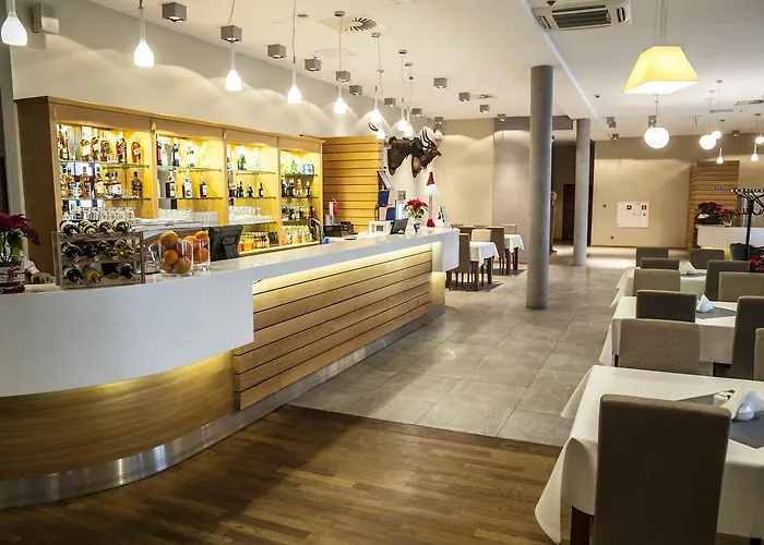 Pod Szyszkami Hotel Kozmin